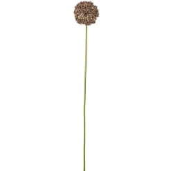 Bloomingville Kunstblumen & Kunstpflanzen-Allium Stiel, Braun, Künstliche Blume