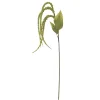 Bloomingville Kunstblumen & Kunstpflanzen-Foxtail Stiel, Grün, Künstliche Blume
