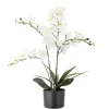Bloomingville Kunstblumen & Kunstpflanzen-Künstliche Orchidee, Kunstblume