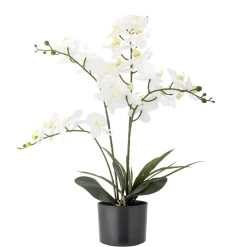 Bloomingville Kunstblumen & Kunstpflanzen-Künstliche Orchidee, Kunstblume