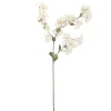 Bloomingville Kunstblumen & Kunstpflanzen-Myrtle Zweig, Künstliche Blume