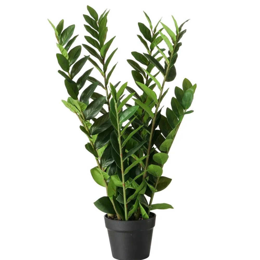 Boltze Kunstblumen & Kunstpflanzen-Topfpflanze Zamioculcas
