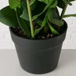 Boltze Kunstblumen & Kunstpflanzen-Topfpflanze Zamioculcas