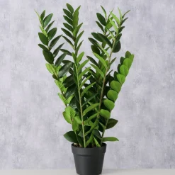 Boltze Kunstblumen & Kunstpflanzen-Topfpflanze Zamioculcas