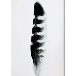 Chic Antique Bilderrahmen|Schilder, Wandbilder & Poster-Bild mit Federnmotiv und schwarzem Rahmen