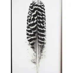 Chic Antique Bilderrahmen|Schilder, Wandbilder & Poster-Bild mit Federnmotiv und schwarzem Rahmen