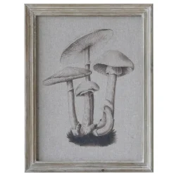 Chic Antique Bilderrahmen|Schilder, Wandbilder & Poster-Bild mit Pilzmotiv und Naturrahmen