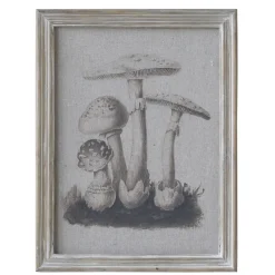 Chic Antique Bilderrahmen|Schilder, Wandbilder & Poster-Bild mit Pilzmotiv und Naturrahmen