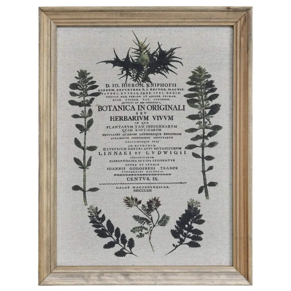 Chic Antique Bilderrahmen|Schilder, Wandbilder & Poster-Bild mit wilden Blumen und Naturrahmen