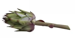 Chic Antique Kunstblumen & Kunstpflanzen-Fleur Artischocke