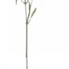 Chic Antique Kunstblumen & Kunstpflanzen-Fleur Distel 2