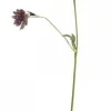Chic Antique Kunstblumen & Kunstpflanzen-Fleur Distel 4