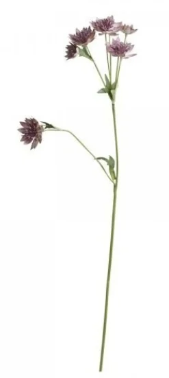 Chic Antique Kunstblumen & Kunstpflanzen-Fleur Distel 4