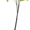 Chic Antique Kunstblumen & Kunstpflanzen-Fleur Echter Schneeball lime