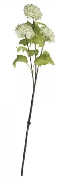 Chic Antique Kunstblumen & Kunstpflanzen-Fleur Echter Schneeball lime