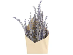 Chic Antique Kunstblumen & Kunstpflanzen-Fleur getrocknete Lavendel Blumen