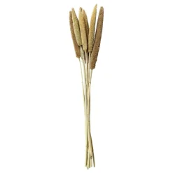 Chic Antique Kunstblumen & Kunstpflanzen-Fleur getrocknete Perlhirse