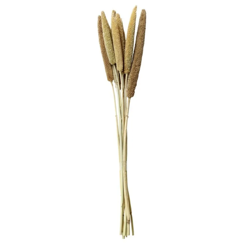 Chic Antique Kunstblumen & Kunstpflanzen-Fleur getrocknete Perlhirse
