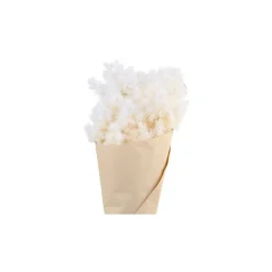Chic Antique Kunstblumen & Kunstpflanzen-Fleur getrocknete Schleierspargel