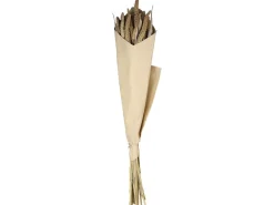 Chic Antique Kunstblumen & Kunstpflanzen-Fleur getrocknete Seterea Blumen