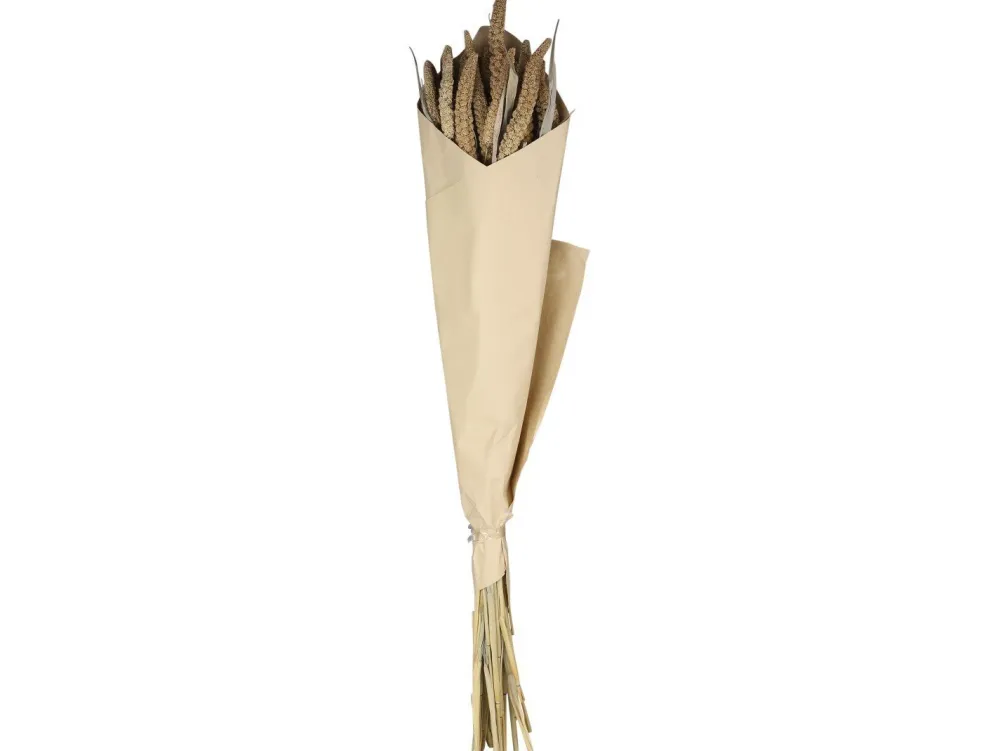 Chic Antique Kunstblumen & Kunstpflanzen-Fleur getrocknete Seterea Blumen