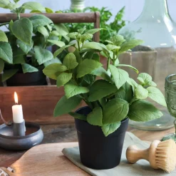 Chic Antique Kunstblumen & Kunstpflanzen-Fleur künstliche Minze