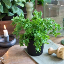 Chic Antique Kunstblumen & Kunstpflanzen-Fleur künstliche Petersilie