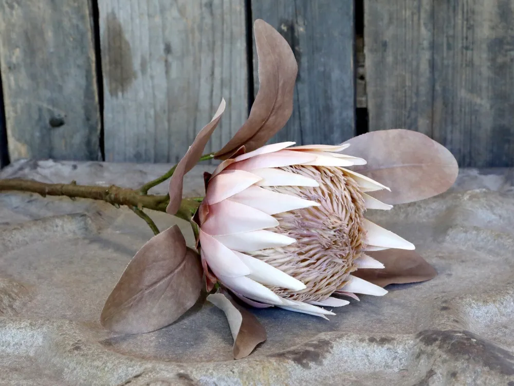 Chic Antique Kunstblumen & Kunstpflanzen-Fleur Kunstblume Protea
