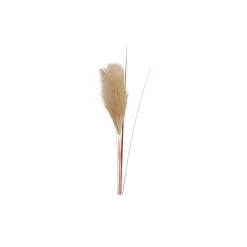 Chic Antique Kunstblumen & Kunstpflanzen-Fleur Pampasgras Wedel