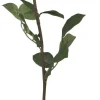 Chic Antique Kunstblumen & Kunstpflanzen-Fleur Rose weiß