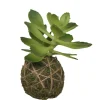 Chic Antique Kunstblumen & Kunstpflanzen-Fleur Sukkulente mit Moos Ball
