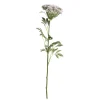 Chic Antique Kunstblumen & Kunstpflanzen-Fleur Wilde Möhre