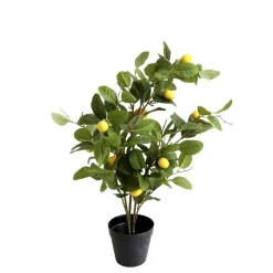 Chic Antique Kunstblumen & Kunstpflanzen-Fleur Zitronenbaum