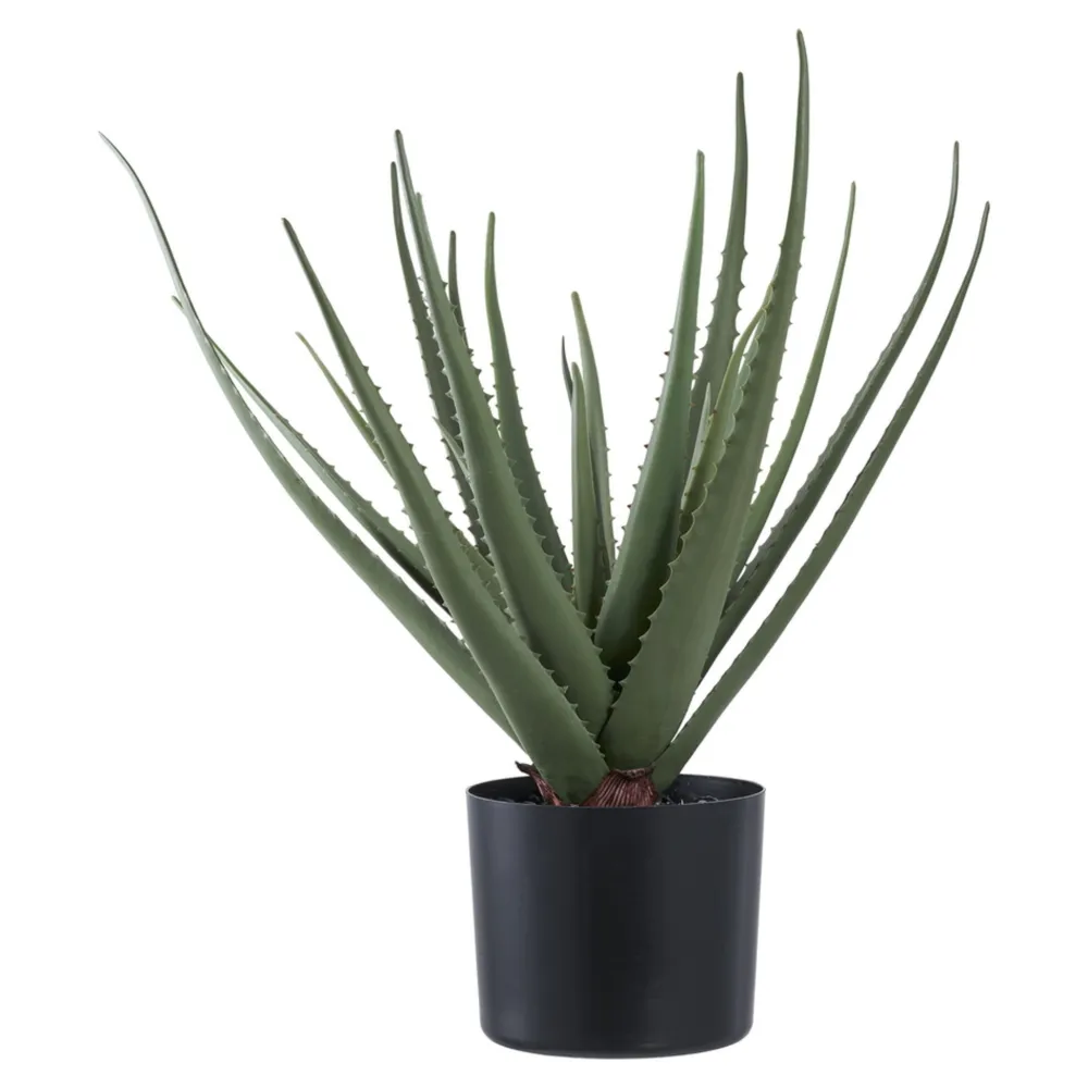 House Nordic Kunstblumen & Kunstpflanzen-Aloe Vera Künstliche Grünpflanze
