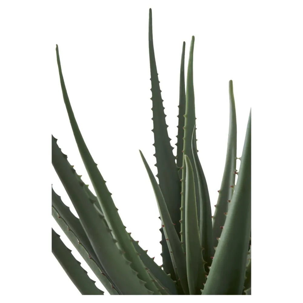 House Nordic Kunstblumen & Kunstpflanzen-Aloe Vera Künstliche Grünpflanze