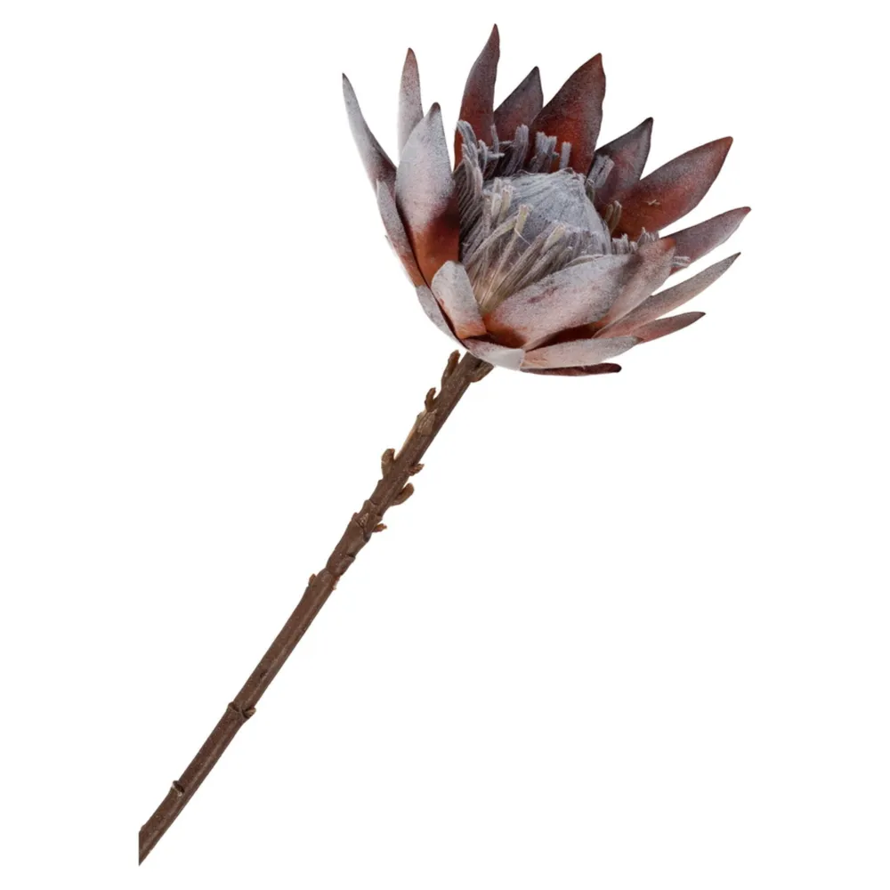 House Nordic Kunstblumen & Kunstpflanzen-King Protea Bouquet, Künstlilcher Blumenstrauß