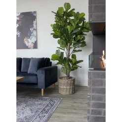 House Nordic Kunstblumen & Kunstpflanzen-Künstlicher Geigenblattbaum, Grünpflanze XXL