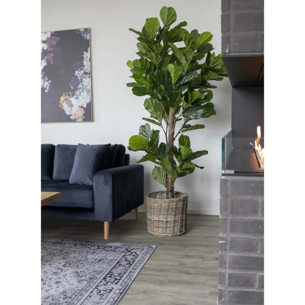 House Nordic Kunstblumen & Kunstpflanzen-Künstlicher Geigenblattbaum, Grünpflanze XXL