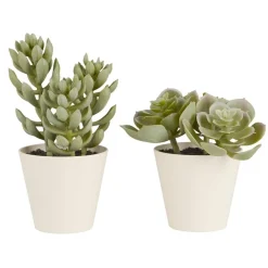 IB Laursen Kunstblumen & Kunstpflanzen-Künstliche Sukkulente 2er Set im Topf Sedum und Echeverie