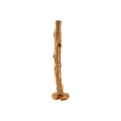 Invicta Deko-Objekte & Figuren-Skulptur Reef Treibholz Teak